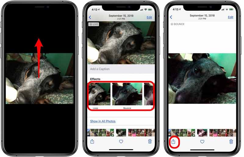 How To Download Live Photo As Gif - Colaboratory