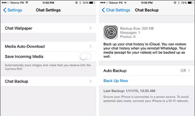 Back Up Whatsapp on iPhone