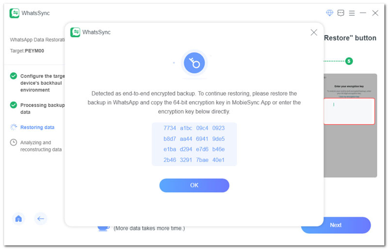 Enter 64 Digit Encryption Key to Restore Data